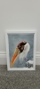Bald Stork