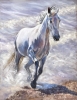 Making A Splash