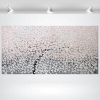  Silent Spring