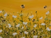 Bee utiful Sunny Dawn #2 