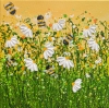 Bee utiful Sunny Dawn #3