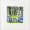 4 Bluebell woodland views
