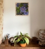 Blue Clematis