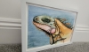 Colourful Iguana