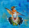 Dancing Hummingbird