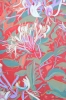 Movement, Beauty, Summer Garden, Honeysuckle, Yellow, Deep Crimson, White, Dancing.