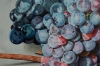 \"Industrial grape