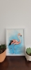 Pink Flamingo