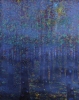 Forest Fog 