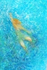 Wild swimming- 5