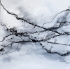 Grey Monochrome Large Abstract 2