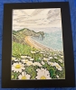 Coastal Durdle Door 