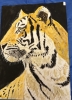 Portrait of a Tiger