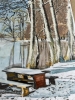 A3 Acrylic painting . Veiw from a bench table of a Frozen lake 