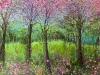 Blossom Lane 