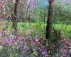 Blossom Lane 