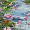 Spring Waterlilies  