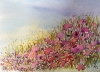 For the Love of Pink!
