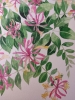 Honeysuckle in watercolour 