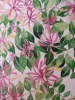 Honeysuckle in watercolour 
