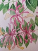 Honeysuckle in watercolour 