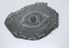 Komodo Dragon Eye