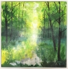 Misty Spring Woodland