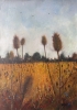 Teasel Field Swallows Leaving