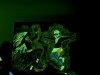 Freedom Dance