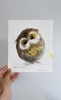 Wonderland Owlet