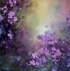 The Beautiful Beyond