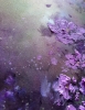 The Beautiful Beyond