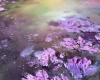 The Beautiful Beyond