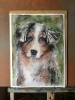 Pawtraits of Love – Custom Watercolor Pet Portraits from Photo
