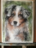Pawtraits of Love – Custom Watercolor Pet Portraits from Photo