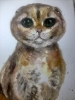 Scottish Fold Cat Original Watercolor – Hand-Painted Pet Portrait