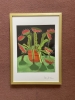The Venus Fly Trap