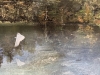 Blue Pool reflection