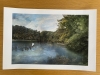 Blue Pool reflection