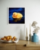 A Ducklings Reflection
