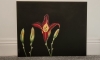 Lily flower