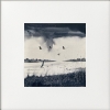 4 monochrome marshes scenes