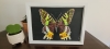 Madagascar Sunset Moth