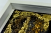 Pure Aurum