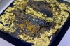 Pure Aurum