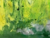Misty Spring Woodland