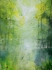Misty Spring Woodland