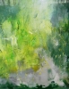 Misty Spring Woodland