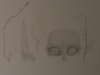 Bones, Root, Twigs.