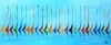 Sailing Symphony